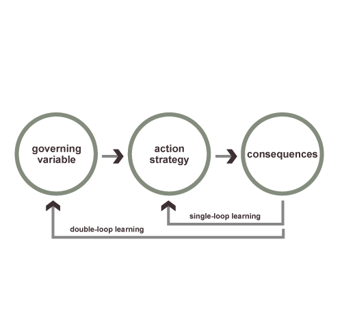 Double Loop Learning